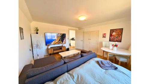 a living room with a blue couch and a tv at Holeby Apartment 1 - next to Femern Puttgarden Lalandia Knuthenborg in Holeby