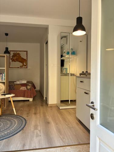 Cosy studio in old town Rovinj