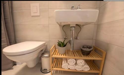 Cosy studio in old town Rovinj
