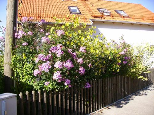a fence with pink flowers on the side of a house at Wiflinger Graben Einfamilienhaus in Wörth