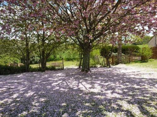 a tree with pink flowers on it in a yard at L'Hirondelle Chambres d'Hotes in Saint-Mathieu