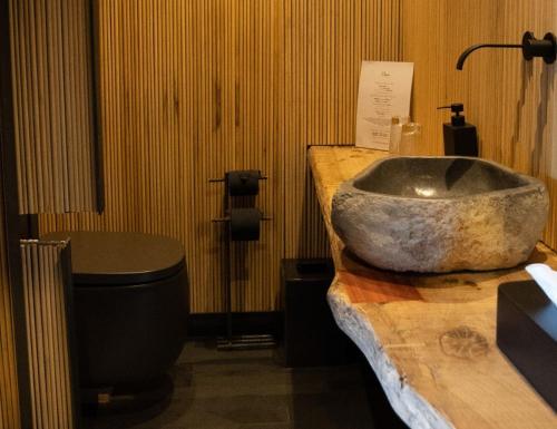 a bathroom with a stone sink and a toilet at Belle Torre Mayorazgo Boutique Hotel in Villatoro