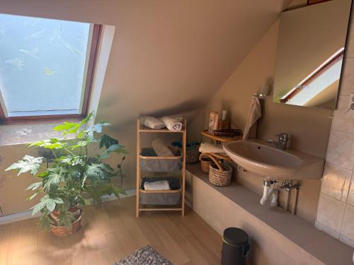 a bathroom with a sink and a mirror and plants at Boróka-ház Mohács in Mohács