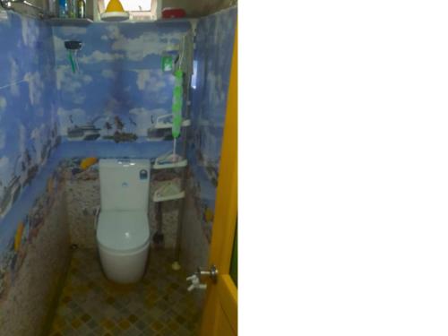 a bathroom with a toilet and a sink at Ice mango homestay Badulla in Badulla