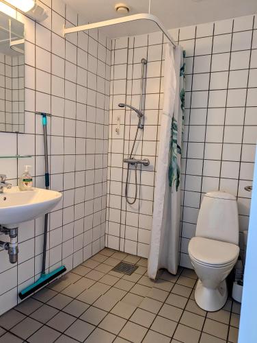 a bathroom with a toilet and a shower and a sink at Nexø Modern Hostel. Private Rooms in Neksø