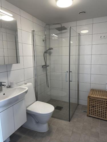 a bathroom with a shower and a toilet and a sink at Sörbyvägen 4 in Floby