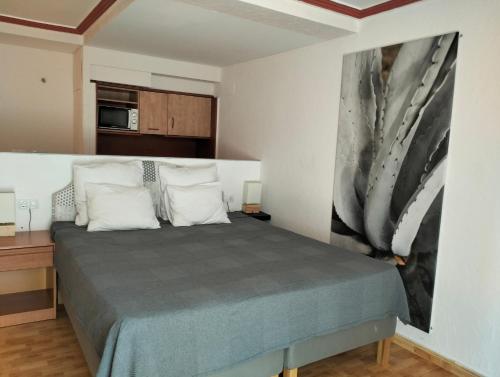 a bedroom with a bed and a painting on the wall at Unique Apartahotel 4-3 in Torrevieja