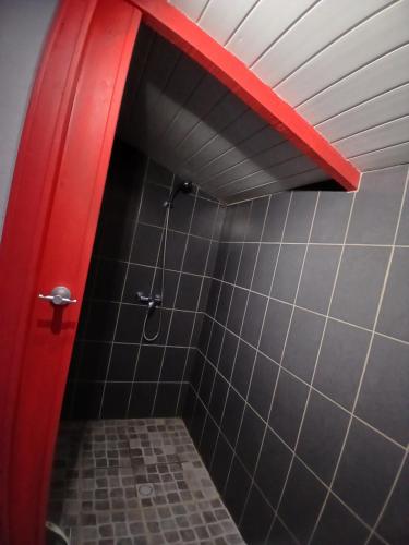 a bathroom with a shower with a red door at Le Temple Ysambre in Malansac