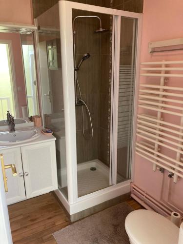 a bathroom with a shower and a sink at Superbe maison calme au centre ville in Blois