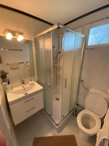 a bathroom with a shower and a toilet and a sink at Romantic bungalow in Balatonudvari