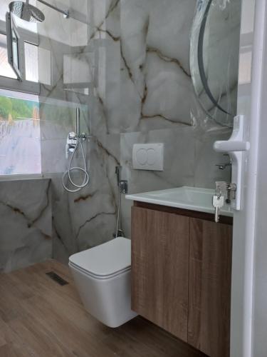 a bathroom with a toilet and a sink and a mirror at Vila Familjare Memushi in Ksamil