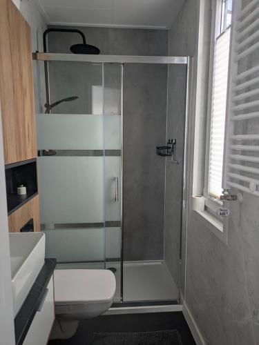 a bathroom with a shower with a toilet and a sink at Rustige natuur lodge bij Deventer met privé terras in Gorssel