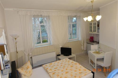 a small room with a bed and a desk with a television at Heidehof Auenland in Wietzendorf