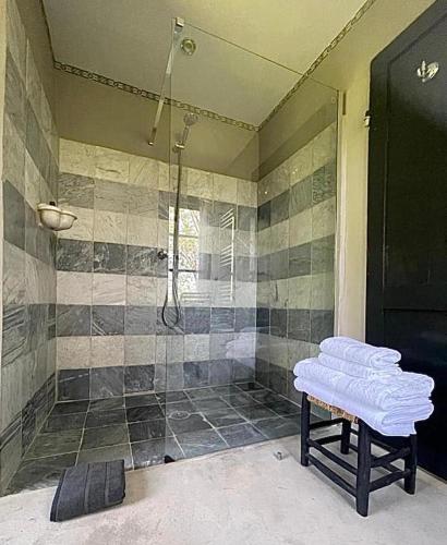 ein Badezimmer mit Dusche und Sitzbank in der Unterkunft Villa Leopardi in Vignale