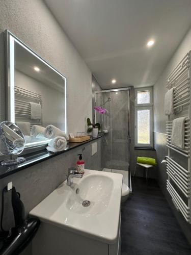 a bathroom with a sink and a shower at waldhotel AUSZEIT mit Restaurant & Café in Tanne