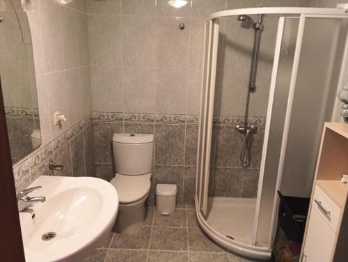 a bathroom with a shower and a toilet and a sink at Casa Lameiro in Cedeira