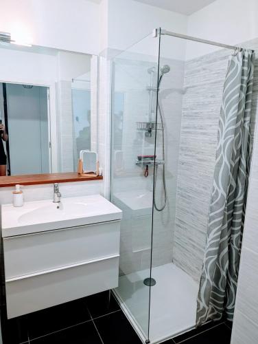 a bathroom with a sink and a shower at Euskal Herria in Saint-Pée-sur-Nivelle