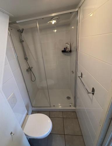 a bathroom with a shower and a toilet at Waterzicht 3 in Uitwellingerga
