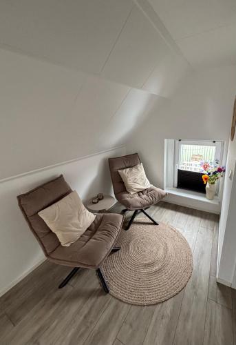 two chairs and a rug in a room with a window at Waterzicht 3 in Uitwellingerga