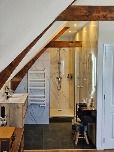a bathroom with a shower and a sink at B&B van Zon aan Zee in Vlissingen