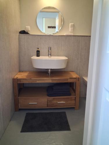 a bathroom with a sink and a mirror at Gutshaus Dämelow tussen Schwerin en Wismar in Dämelow