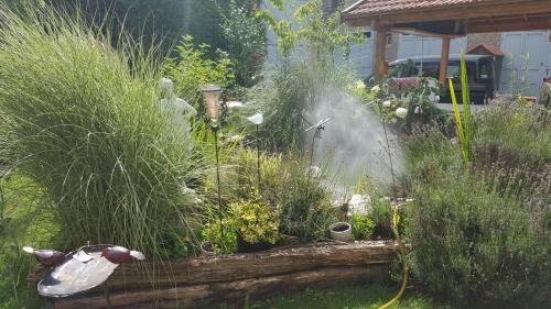 a garden with tall grass and a water hose at La Grange en Champagne in Hermonville