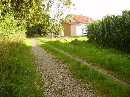 a gravel road with grass and a house in the background at Wiflinger Graben Einfamilienhaus in Wörth