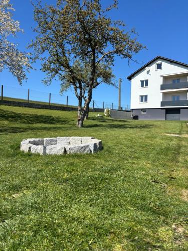 a tree in a field next to a white building at Mühlviertler Auszeit in Pisling