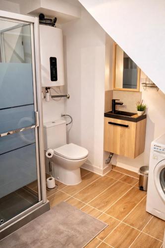 a bathroom with a toilet and a sink at Au Carnot in Douai