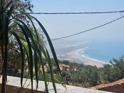 a view of the beach from a house with a palm tree at Superbo Stay Sea View Surf House near Taghazout Panoramic Terrace in Taghazout