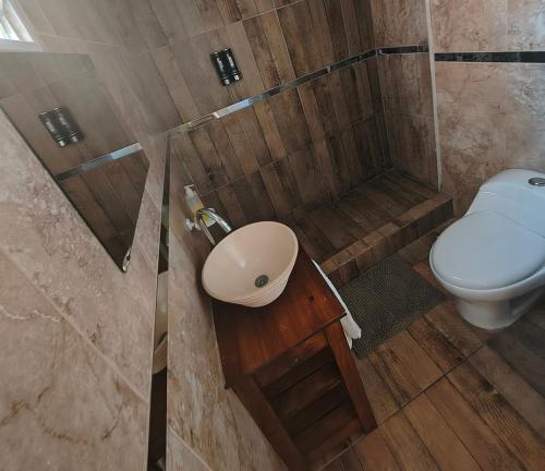 a bathroom with a sink and a toilet at Depto Civora 2 in Villa Regina