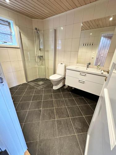 a bathroom with a toilet and a sink and a shower at Trysilbua 1173 in Trysil