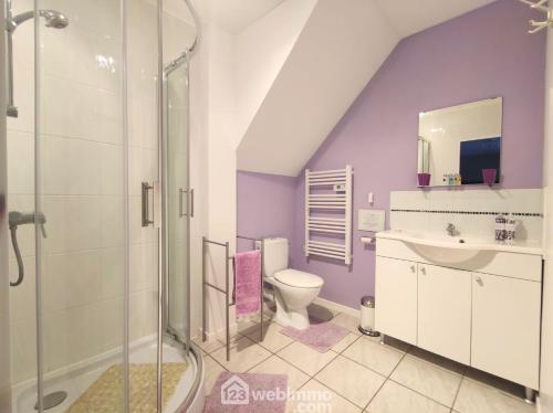a bathroom with a shower and a toilet and a sink at Ensemble De Gites - Pen Ar Voas in Plestin-les-Grèves