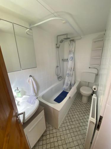 a bathroom with a tub and a sink and a toilet at M1 Appartement in Uttenweiler