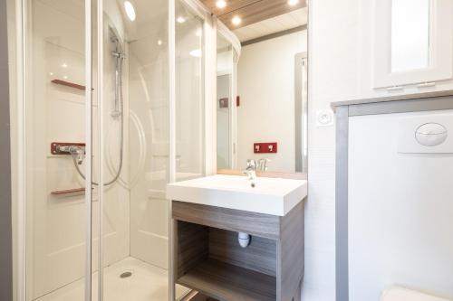 a bathroom with a sink and a shower at Chalet Le Sotré in Corcieux