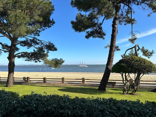 Les Pins D'Eugénie T2 Direct plage