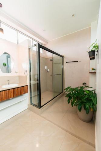 a glass shower in a bathroom with a potted plant at Cevero Rodriguez Hotel Boutique in Yurimaguas