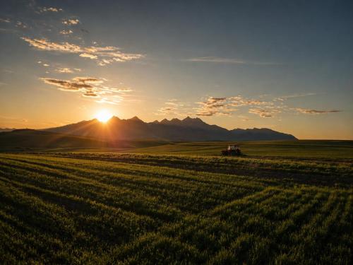 a tractor in a field with the sunset in the background at Apartmány Zaky in Vrbov