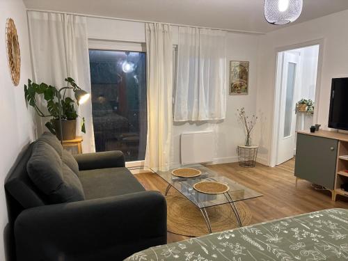 Le Studio Sainte-Cécile Strasbourg Neudorf