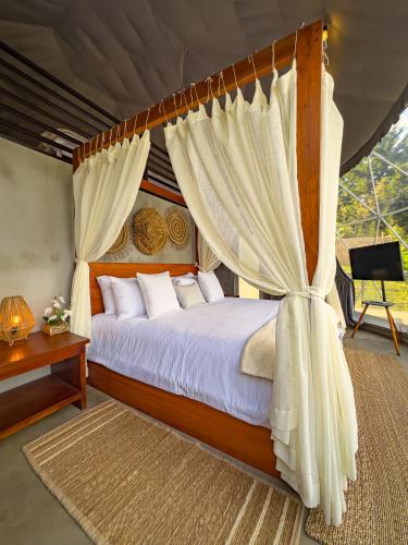 a bedroom with a canopy bed with curtains at Cardedeu Domos in Álvarez