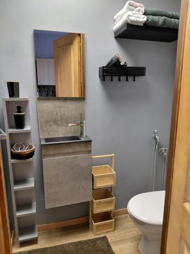 a bathroom with a toilet and a sink and a mirror at Sunny Days Cozy and Comfortable Apartment in Boutersem