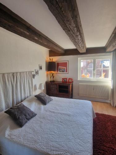 a bedroom with a large bed and a window at New ! VUE PETITE VENISE-PLACE TO BE - PARKING in Colmar