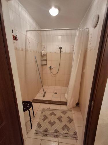a bathroom with a shower with a shower curtain at Apartmenti Ezerkrasti in Jaunpils