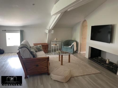 a living room with a fireplace and a tv at Appartement cocon de charme, Domaine Cornevent Lyon, parc & piscine in Vernaison