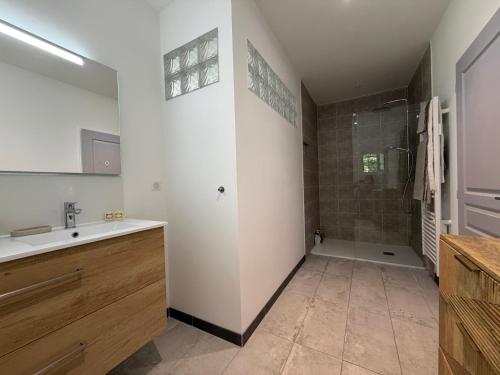 a bathroom with a sink and a shower at Domaine de Quintessence in Saint-Justin