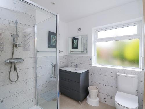 a bathroom with a shower and a toilet and a sink at The Stable in Dublin