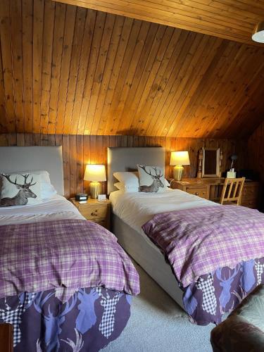 two beds in a room with wooden walls at Westward Bed and Breakfast in Cannich