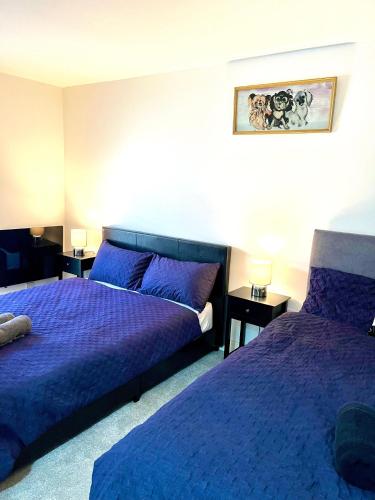 Falcon Crest Lodge - 2BR-Sleeps 7 - Free Parking - Wi-Fi photo 36