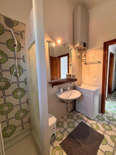 a small bathroom with a sink and a shower at A casa nostra in Formello
