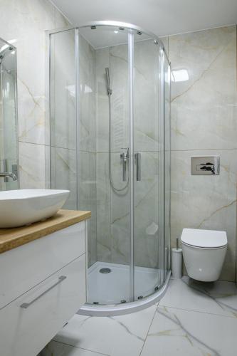 a bathroom with a shower and a toilet and a sink at Apartamenty 40 in Ciechocinek